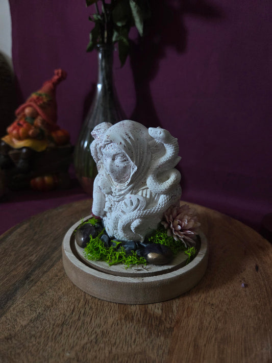 Medusa