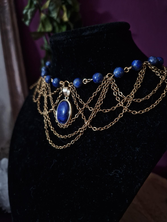 Bleuet — Photo 2