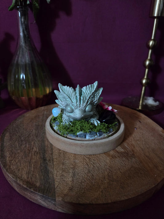 Axolotl