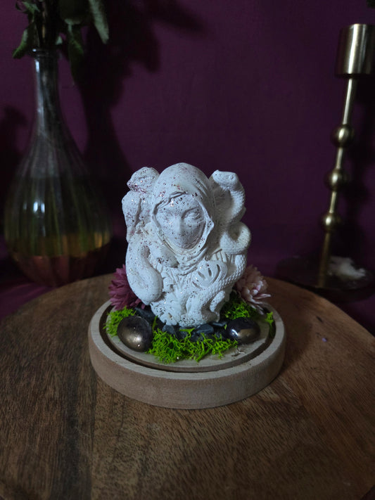 Medusa