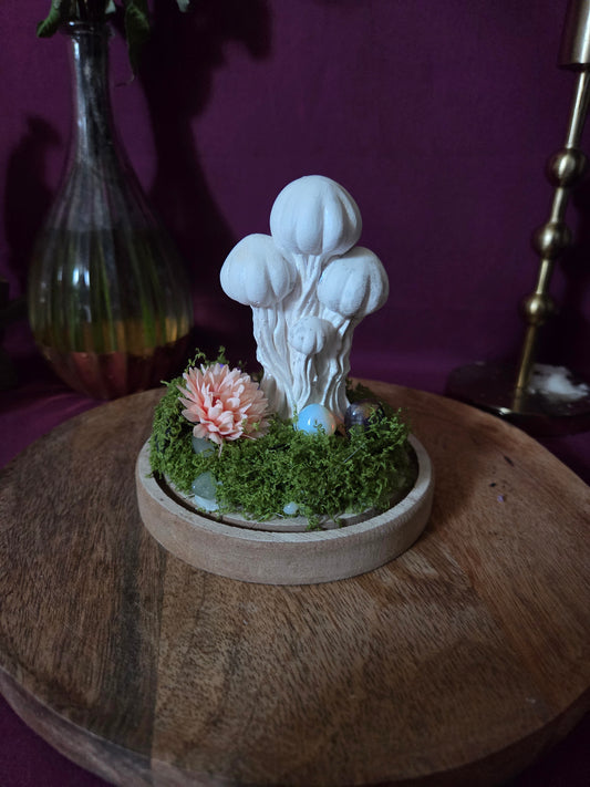 Champignon magique