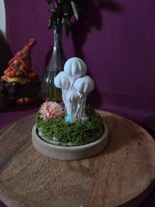 Champignon magique