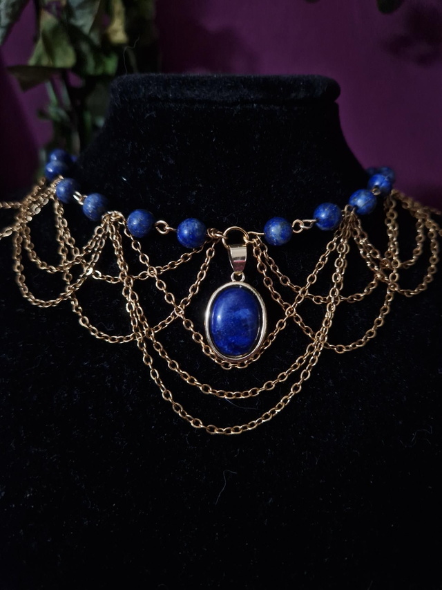 Bleuet — Photo 3